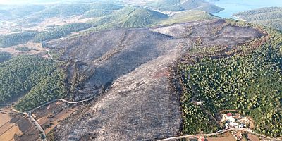 Bilanço sanılandan büyük!..  Bakan yardımcısı Tiryaki açıkladı: Milas’ta 170 hektar alan yandı