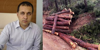 Fethiye orman işletme müdürü zimmetten tutuklandı