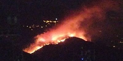 Gökova’da büyük orman yangını başladı, hızla büyüyor