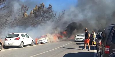 İzmir Seferihisar'da otluk alanda çıkan yangında yaklaşık 50 araç yandı