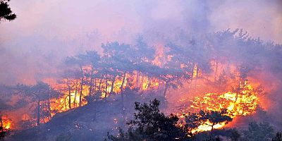 Meteoroloji Muğla’da yangın riski uyarısı yaptı
