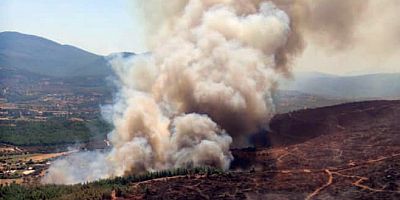Milas Karapınar’da orman yangını başladı