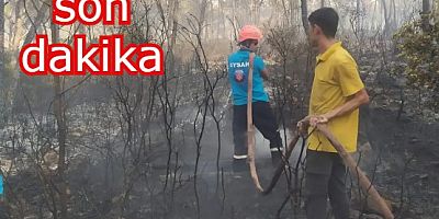 Bakan Yumaklı : Milas yangını kontrol altına alındı
