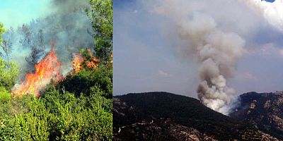 Muğla Milas’ ta orman yangını başladı