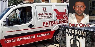 Sokak Hayvanları Ambulansı