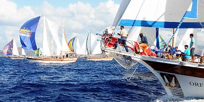 the bodrum cup