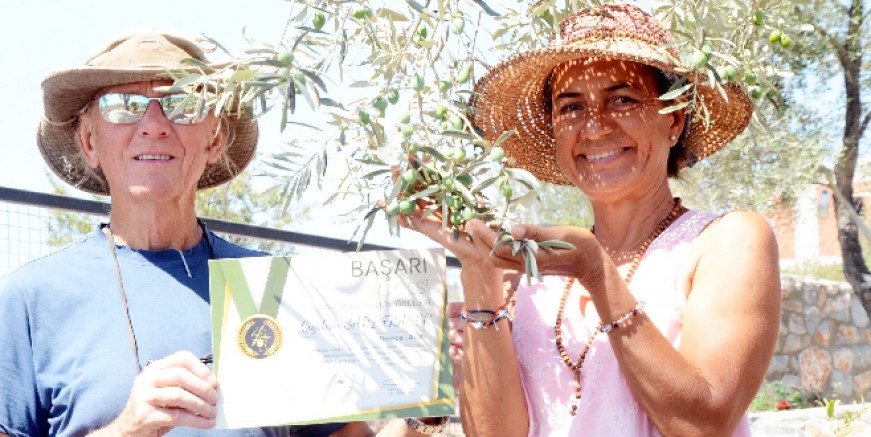 27 yıllık turizmci, zeytinci oldu, Altın ödülünü kaptı