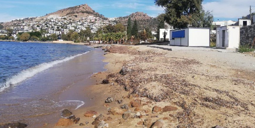 Belediye'nin Kızılburun’da 17 sitenin kıyı sorununu çözdüğü açıklandı