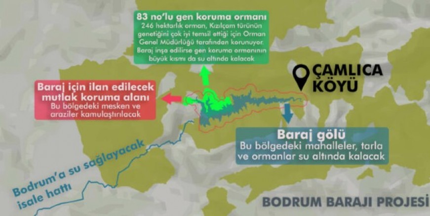 Bodrum Barajı projesi onaylandı: Çamlıca Köyü ve arıcılık merkezi kızılçam ormanı sular altında kalacak
