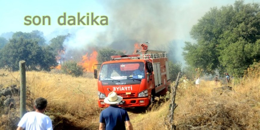 Dereköy'de makilik alanda yangın çıktı rüzgarın etkisi ile yayıldı
