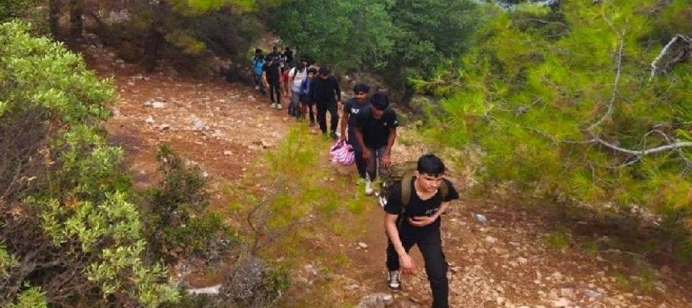 Ormanda  72 yasa dışı göçmen yakalandı