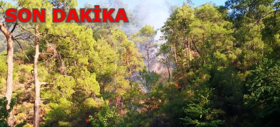 Marmaris’te yeniden orman yangını! YANGIN KONTROL ALTINDA