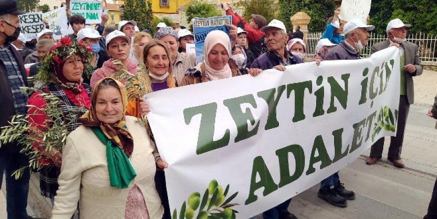 Milas' ta Zeytin Hayattır mitingi düzenlendi