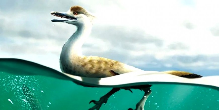 Milyonlarca yıl önce yaşamış “penguen dinozor” fosili şaşkınlık yarattı