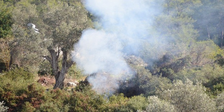 Ormanda temizlik  ateşi yaktılar polis uyardı