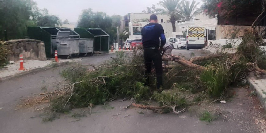 Şiddetli fırtına ağaçları devirdi, belediye ekipleri sabaha kadar çalıştı