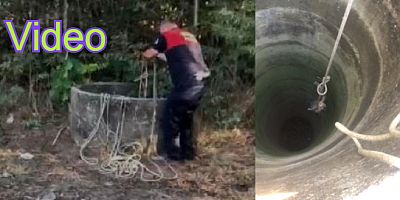 30 metrelik kuyuya düşen tilkiyi Büyükşehir Belediyesi itfaiyesi kurtardı
