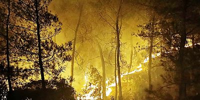 AFAD’dan Muğla ve 5 il için orman yangını uyarısı