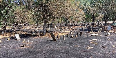 Akıllara durgunluk veren olay: Mezarlığı yakarak temizlediler
