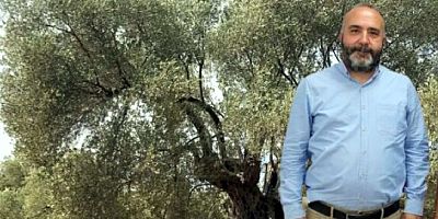 Avrupa Konseyi, Milas’ın Zeytin Ağaçlarını Kültür Rotasına Aldı