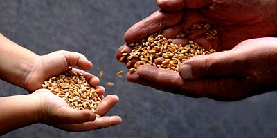 Bodrum’a tarım Ar-Ge ve yerel tohum merkezi açılıyor