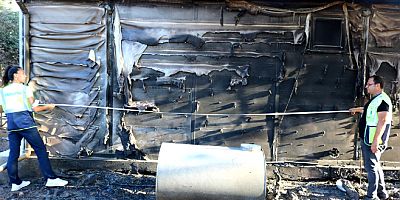 Bodrum Belediyesi yangın bölgelerinde hasar tespitine başladı
