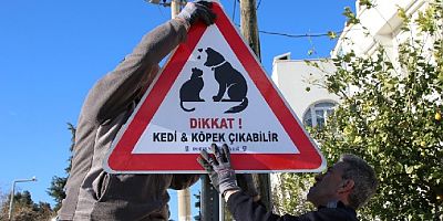 Bodrum’da “Dikkat kedi-köpek çıkabilir” levhaları yerleştirildi