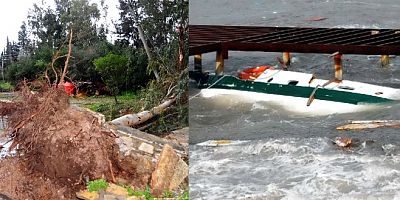 Bodrum’da fırtına ağaçları devirdi tekneleri batırdı, 24 saat daha etkili olacak