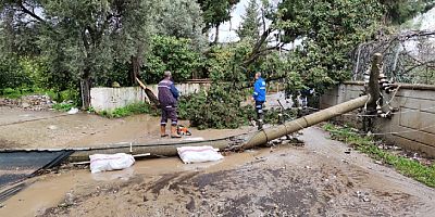Bodrum’da fırtına elektrik direklerini ve ağaçlarını devirdi