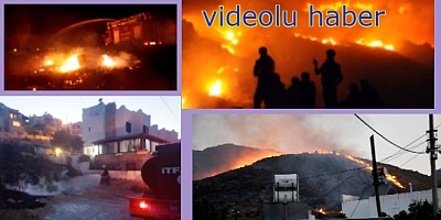 Bodrum'da gece yarısı kasıtlı çıkarılan yangınlar kabus yaşattı