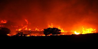 Bodrum’da orman yangını hızlı müdahale ile önlendi