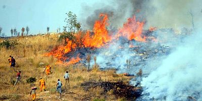 Bitez'de  tarım arazilerinde yangın kabus yaşattı