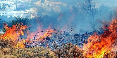 Bodrum ve Muğla’da orman yangını