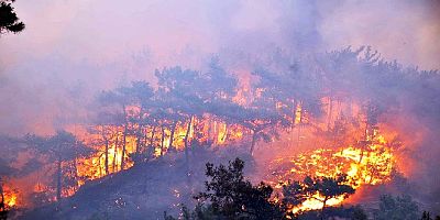 Büyük orman yangını sonrası Marmaris’te erozyon riski ve kirlilik tehdidi