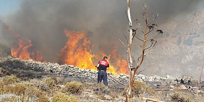 Büyükşehir ekiplerinin yangınlara müdahalesi sürüyor