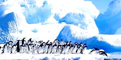 Türkiye Antarktika için Çevre Koruma Protokolünü imzaladı …