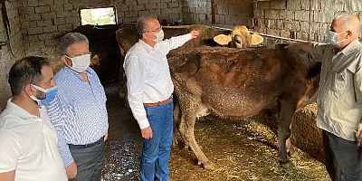 CHP’li Girgin: Hayvancılığın bayramı yok, üretici perişan, bayramda sütler elde kaldı