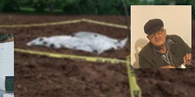 Çiftlik Mahellesi'nde Ahmet Altındağ tarlasında ölü bulundu