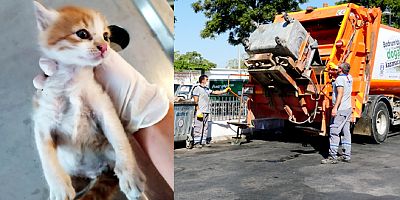 Çöp konteynırına atılan yavru kediyi temizlik işçilerinin dikkati kurtardı