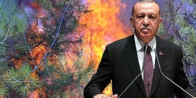  Cumhurbaşkanı Erdoğan'dan yangınlarda sabotaj iddialarına yanıt: Soruşturmalar yoğun şekilde devam ediyor