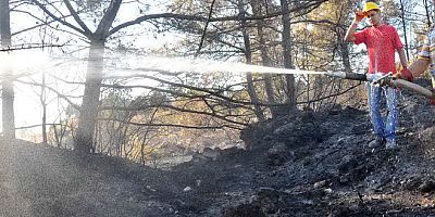 Datça'da korkutan orman yangını