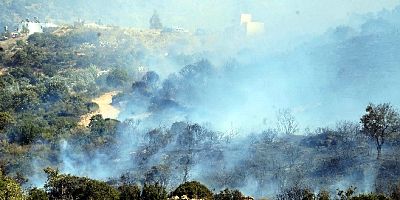 Dereköy'de makilik alan yangını evlere yaklaşınca korku yaşandı