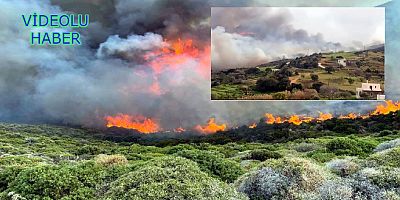 Ege’nin ortasındaki Andros adası alev alev yanıyor köyler boşaltılıyor