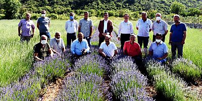 Fethiye İncirköy agro turizm merkezi olacak , bitki müzesi kurulacak