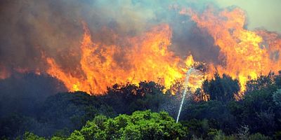 Fethiye ve Seydikemer’de orman yangınları