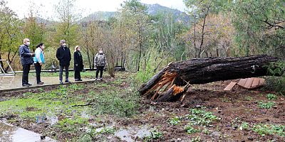 Fırtına ve yağış Marmaris'i de vurdu! 170 ağaç devrildi