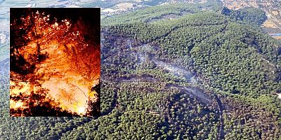Gökova'da 7 saatte 50 hektar ormanlık alan kül oldu