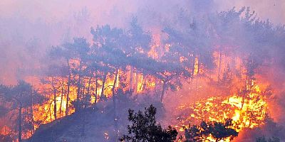 Havaların aşırı ısınmasıyla  orman yangınları konusunda alarm verildi