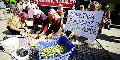 İkizköy Akbelen ormanları için kömürlü zeytinli eylem