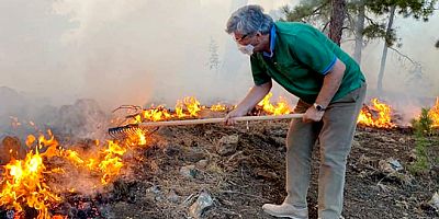 İyi Partili Ergun “Orman yangınları Muğla arıcılığı için felaket oldu”